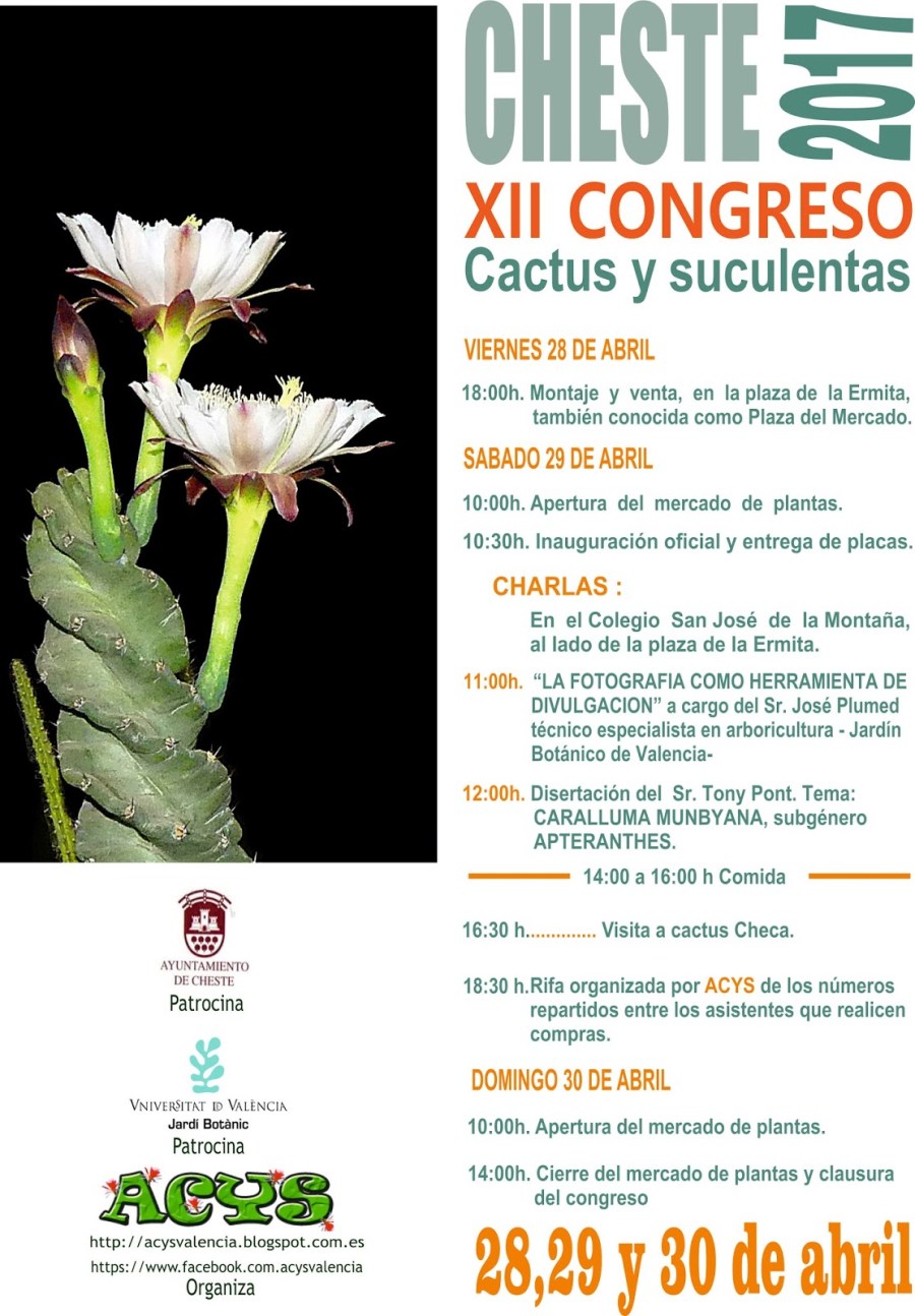 cheste2b20172bcon2btextos2b-final-final