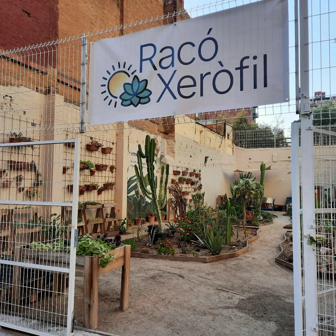 Racó xeròfil
